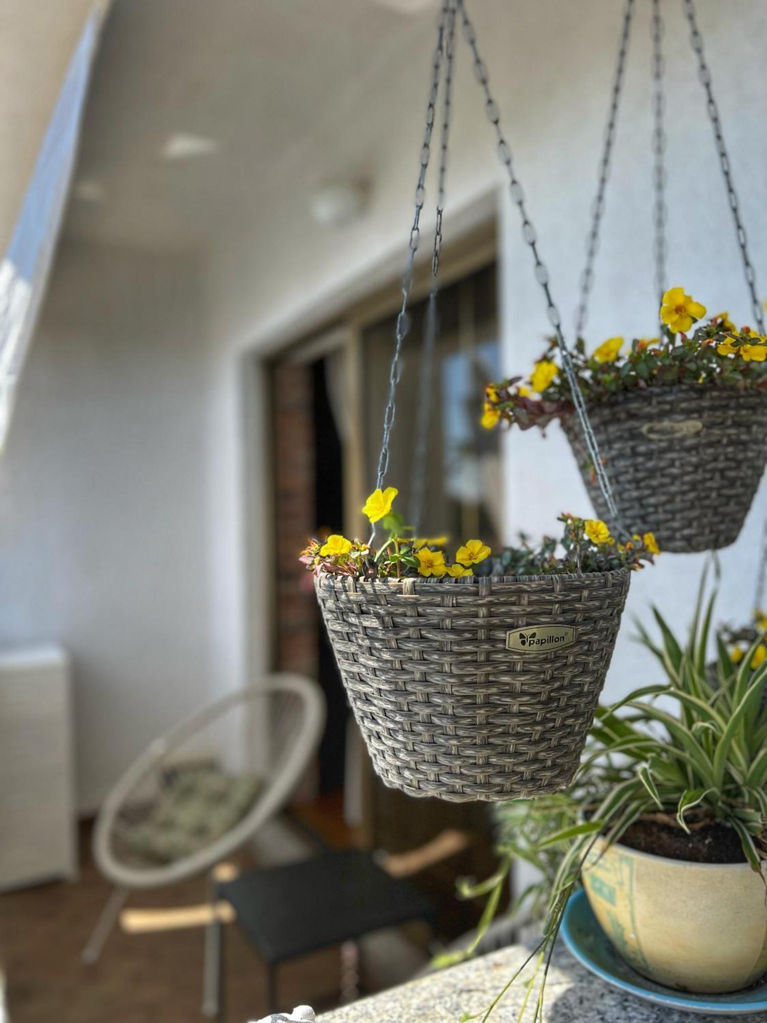 Apartmani Mia Palit Kültér fotó